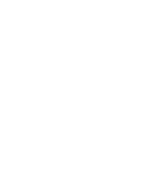 Lady Beauty Center Sarajevo logo light